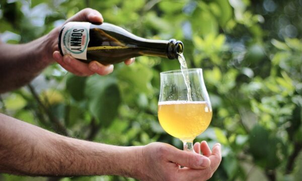 SONNY Kumquat Farmhouse Ale BA 33cl - immagine 2